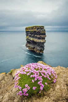 Downpatrick Head Ireland Drucke: Dun Briste sea stack at Downpatrick Head