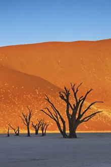 Eindruck aus Dünen mit toten Bäumen im Toten See - Namibia, Hardap