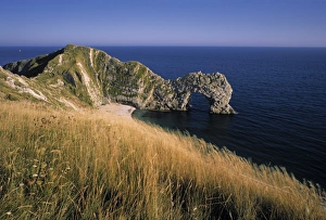 English Coastline Views Drucke: Durdle Dor