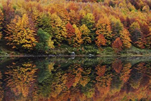 Reflexion am Lago Baccio in den Zentralappenninen von Emilia-Romagnas Italien