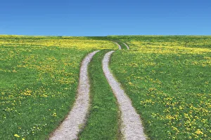 Bahnradweg und Sonnenblumen - Deutschland, Bayern, Oberbayern , Weilheim-Schongau , Penzing