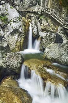 European Wilderness Landscapes Drucke: Fixed rope route in forest - Austria