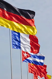 Chinese Flag Drucke: Flags