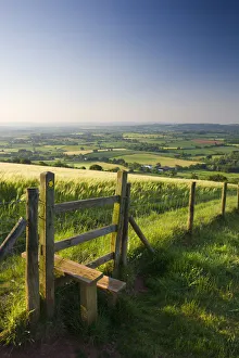 Devon Countryside Drucke: Footpath and style through fields, Raddon Hill, Mid Devon, England. Summer (July) 2009