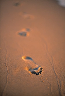 Footprints In The Sand Drucke: Footprints in the Sand