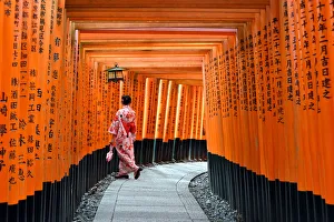 Fushimi-Inaryū-Tempel, Torii-Pfosten in Kyōto (Japan), Asien