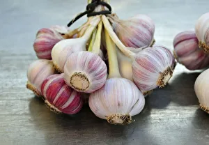 Bilder Datiert 2011 August: Garlic