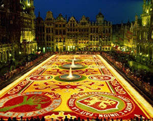 Drucke von Die Große Plätzeee/Blumenmattel(Tapis des Fleurs), Brüssel,Belgien Die Große Plätzeee/Blumenmattl(Tapis des Fleurs)/Nachtwahrnisicht (Tapis des Fleurs) /Brüssel, Belgien Belgien Drucke: Großer Platz / Blumenkarpett (Tapis des Fleurs), Brüssel, Belgien