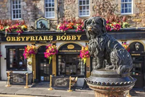 Bobby der Graufraterturmstatue in Edinburgh Schottland Großbritannien Vereinigtes Königreich