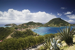 Guadeloupe Island Drucke: Guadaloupe