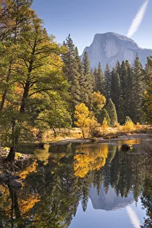 Yosemite Valley Scenic Views Drucke: Half Dome and the Merced River surrounded by fall foliage, Yosemite National Park