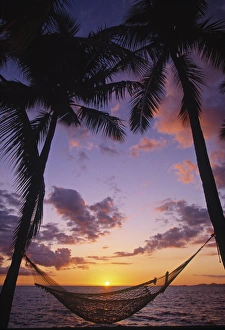 Tropical Beach Relaxation Drucke: Hammock on beach