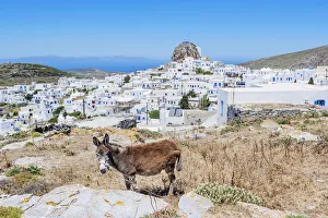 Whitewashed Houses Greece Drucke: High angle view of Chora, Amorgos, Cyclades Islands, Greece