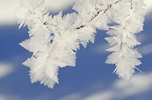 Close Up Ice Details Drucke: Ice crystals