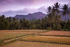 Indonesien, Java, Magelang, Borobudur-Szenerie am Borobudur
