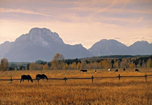 Wyoming Mountain Landscapes Drucke: Jackson, Teton Range