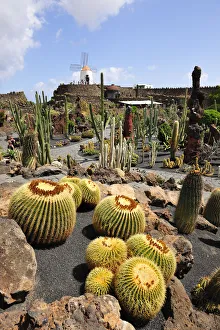 Garten der Kakteen (César Manrique). La Palma ist nicht korrekt, es sollte Lanzarote sein. Garten des Kaktus (Kees Rietzema) oder auch "Jardín de Cactus", ein bekanntes Kunstwerk von Cesar Manrique