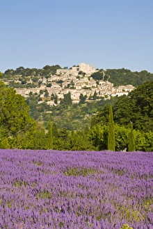 Drucke von Lacoste und Lavendelfelder in Luberon im Département Vaucluse der Region Provence-Franzurland Vaucluse Drucke: Lacoste und Lavendelfelder in Luberon im Département Vaucluse der Region Provence-Franzurland