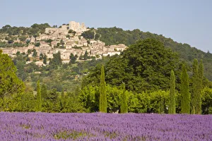 Provence Village Life Drucke: Lacoste & Lavender Fields, Luberon, Vaucluse Provence, France