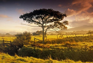 Landschaft Nr