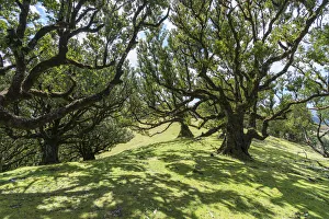 Laurertäler im Naturpark Laurocaldaire, Weltkulturerbe der Unesco