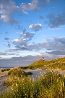 Bilder Datiert 2011 April: Fahnenliste östlich von Ellenbogen auf der Insel Sylt im Nordfriesischen Land in Schleswig-Holstein