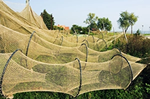 Drucke von Litauen, Kurische Nehrung, Jūrdkrantė – Fischersiedlung – Fischerhäuser mit Netzen im Sonnenlicht Kulturerbestätten Drucke: Litauen, Kurische Nehrung