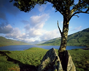 Western Europe Nature Photography Drucke: Loch Arklet