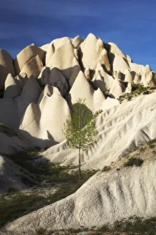 Drought Affected Landscape Photography Drucke: Lone Tree & Eroded Tufa Formations, near Goreme, Cappadocia, Turkey