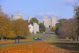 Berkshire England Landmarks Drucke: The Long Walk
