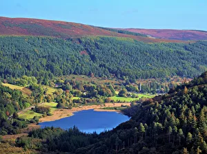 Ireland Scenic Views Drucke: Lower Lake, elevated view, Glendalough, County Wicklow, Ireland