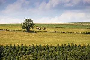 Western Europe Landscape Photos Drucke: Luxembourg, Bourscheid