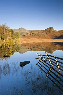 English Lakes Photography Drucke: Mirror like reflections at Blea Tarn, Lake District National Park, Cumbria, England, UK