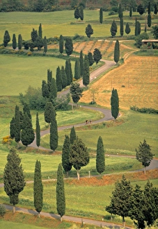 Tuscany Italy Landscape Drucke: Monticchiello