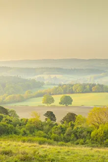 Neue Landschafts Ecke am Nordhügel von Guildford im Graafschap Surrey in Großbritannien