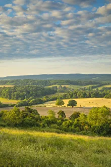 Neue Landschafts Ecke im Norden der Downland Hills in und um die Stadt Guildford im Landkreis Surrey in Südengland