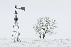 Winter Landscape Photography Canada Drucke: Old Windmill Willows Saskatchewan, Canada