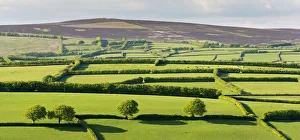 Spring In England Drucke: Patchwork rolling countryside below Dunkery Beacon, Exmoor, Somerset, England. Spring