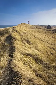 Schleswig Holstein Landscapes Drucke: Path on the dune to the List-Ost lighthouse on the Ellenbogen Peninsula, Sylt