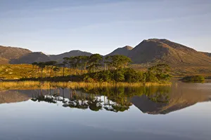 Insel der Pinne in dem Naturschutzgebiet von Connemarra im County Galway Irland