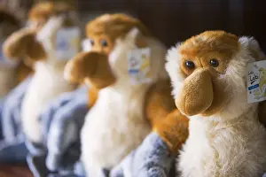 Proboskuss-Monkey-Puppen für Verkauf im Geschenkgeschäft von Kota Kinabalu