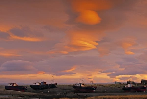 Verwandte Bilder Drucke: Punta Arenas, Chiles Hauptstadt im Südwesten des Landes