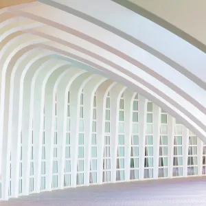 Valencia Architecture Drucke: Pattern of repeated columns and buttresses