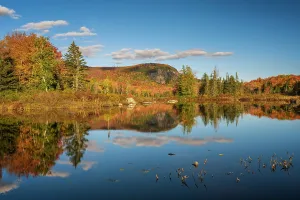 Green Mountains Landscape Drucke: Sunset reflection on Turtlehead Pond, Green Mountains, Marshfield, Vermont, USA
