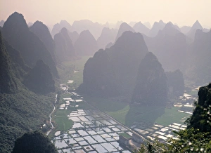 Guangxi Province Landscape Drucke: Rice fields