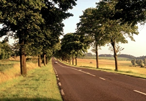 French Countryside Roads Drucke: Road, Normandy