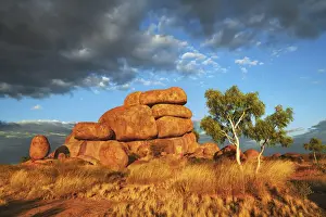 Felsformation bei den Teufelsteinen mit Eukalyptustree - Australien, Nordterritorium