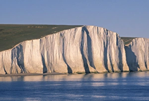 White Cliffs Of England Drucke: Seven sisters
