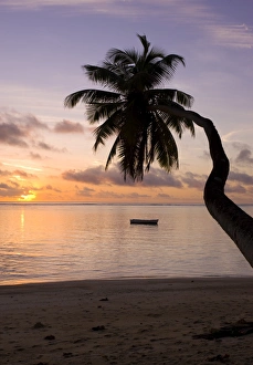 Seychelles Coastal Scenery Drucke: Seychelles