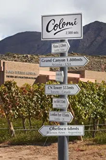 Ausbauzeichen für Höhenunterschiede in Metern innerhalb der Bodegas Colomé-Weinbauerei